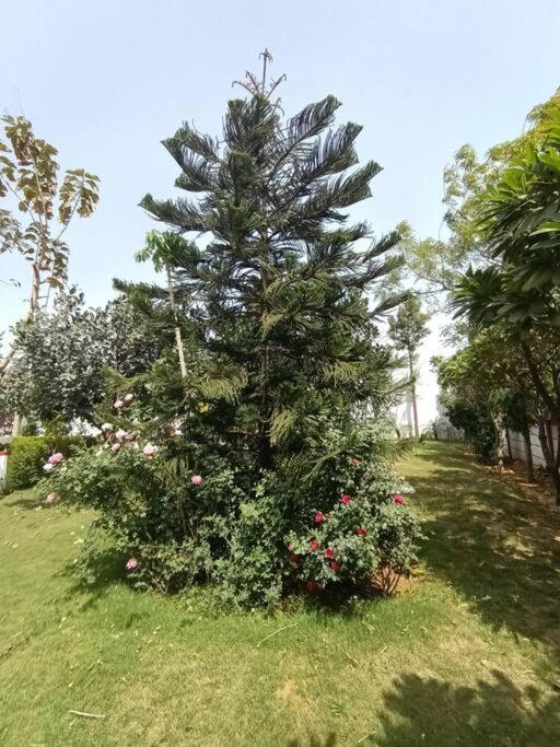 Achal Farm जंगल में मंगल Villa คูร์เคาน์ ภายนอก รูปภาพ